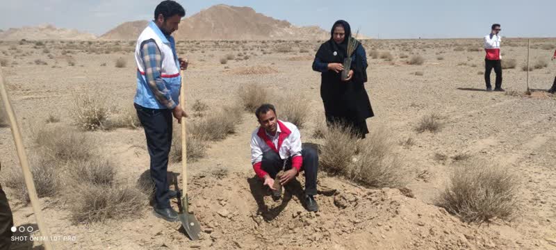 در راستای اجرای طرح مردمی کاشت یک میلیارد درخت در شهرستان خاتم صورت گرفت